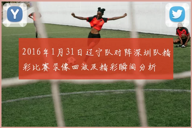2016年1月31日辽宁队对阵深圳队精彩比赛录像回放及精彩瞬间分析