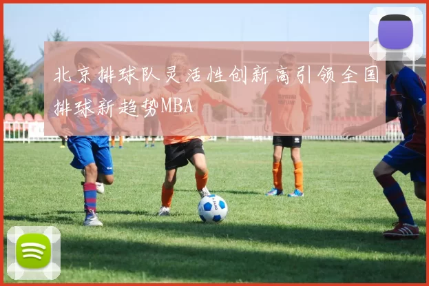 北京排球队灵活性创新高引领全国排球新趋势MBA