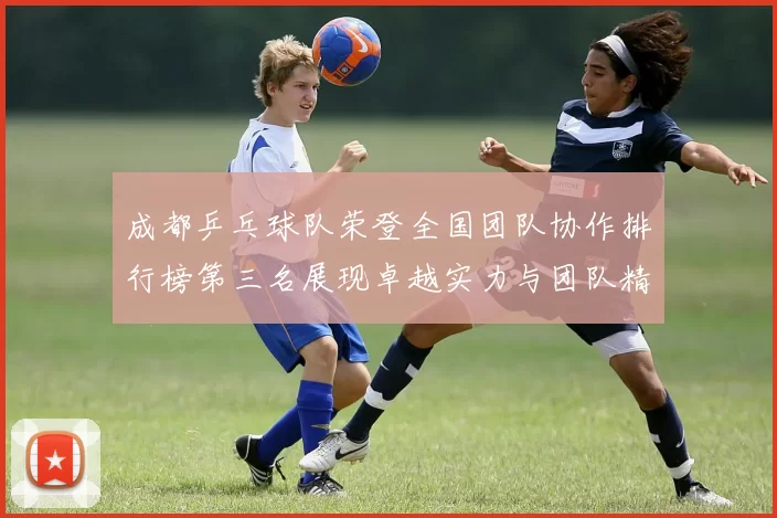 成都乒乓球队荣登全国团队协作排行榜第三名展现卓越实力与团队精神MBA