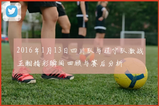 2016年1月13日四川队与辽宁队激战正酣精彩瞬间回顾与赛后分析