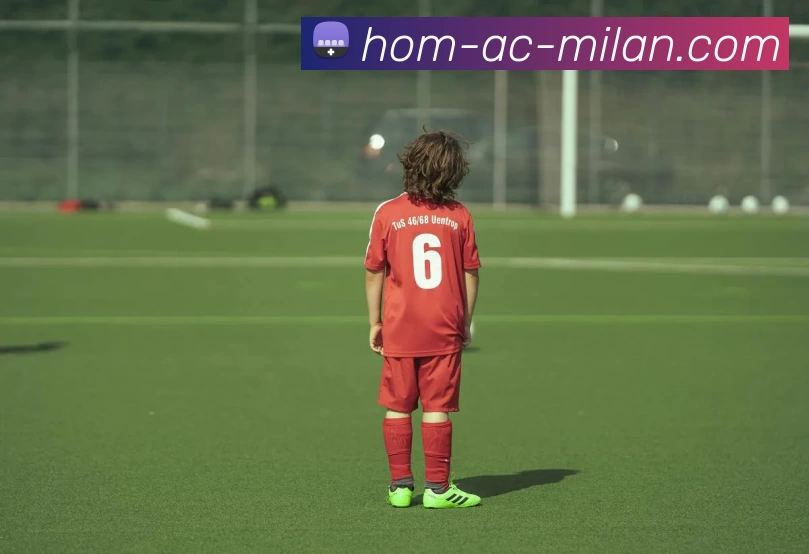 米兰体育官网APP 封面图